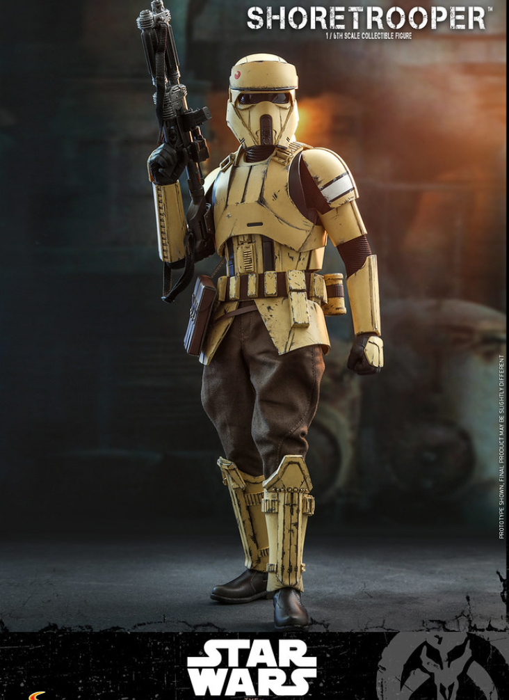 Hot Toys Shoretrooper Hot Toys Star Wars The Mandalorian TMS031 1/6 Scale Figure