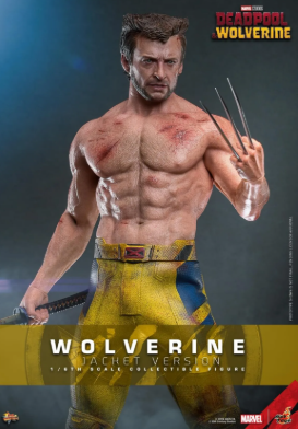 Hot Toys Wolverine (Jacket Version) Hot Toys Marvel Deadpool and Wolverine MMS756 1/6 Scale Figure