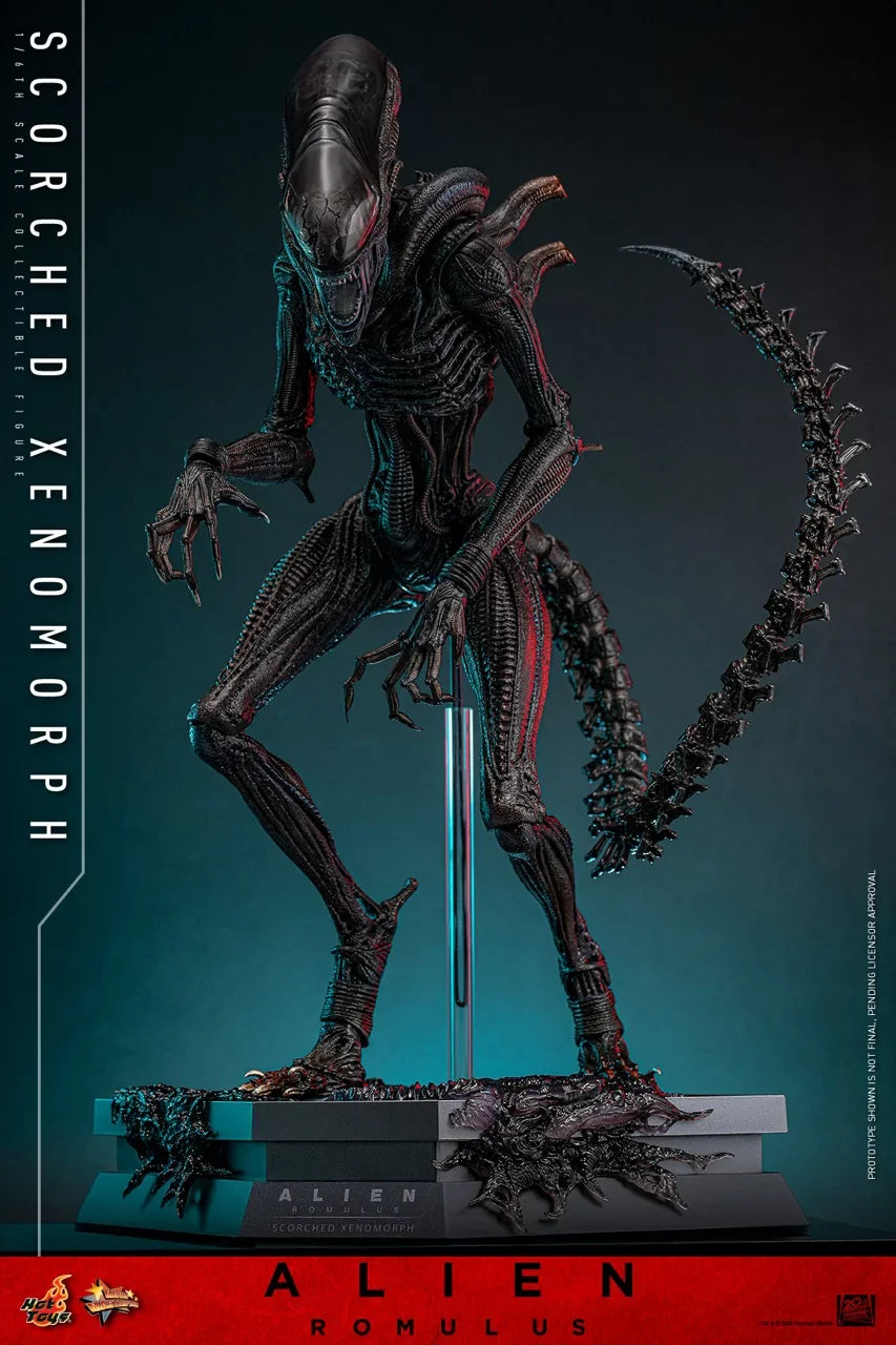 Hot Toys Scorched Xenomorph Hot Toys Alien: Romulus MMS784 1/6th Scale Collectible Figure