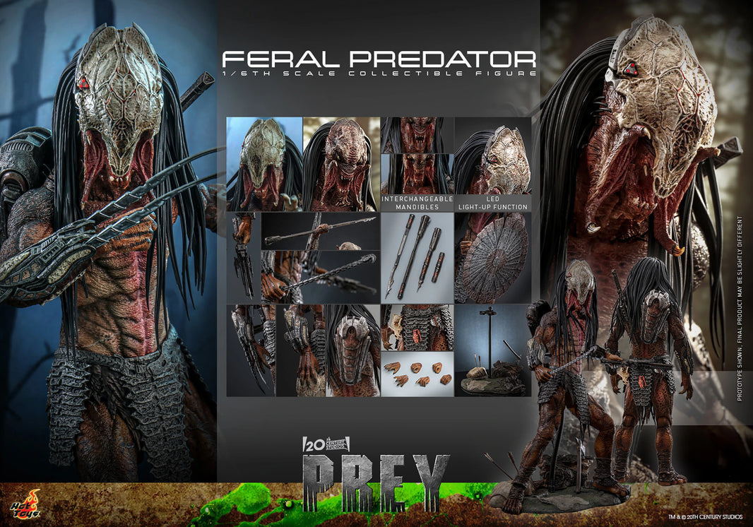 Hot Toys Prey – Feral Predator TMS114 1/6 Scale Figure